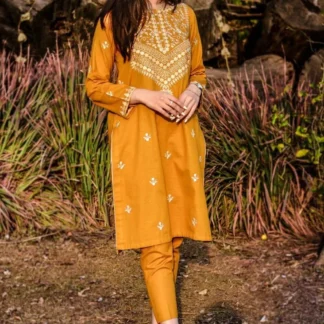 Mustard Embroidered Dhanak 2-Piece Suit for Women