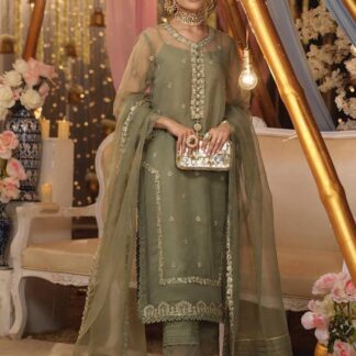 Organza Suit Green Embroidered for Weddings Party Shaadi