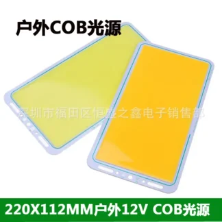 Outdoor COB Light Panel 220x112mm 12V Pakistan