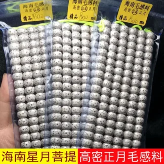Hainan Xingyue Bodhi Beads High Density White Dark