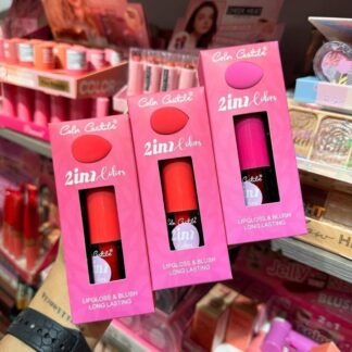 2 in 1 Liquid Blush & Blender Set for Pakistani Skin Tones