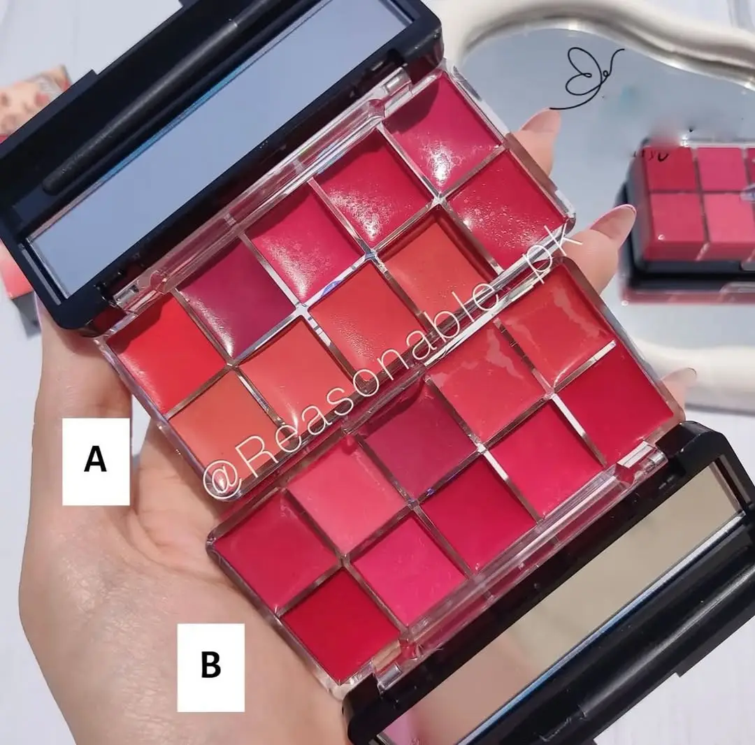 10 In 1 Creamy Lipstick/Blush Palette - Image 2