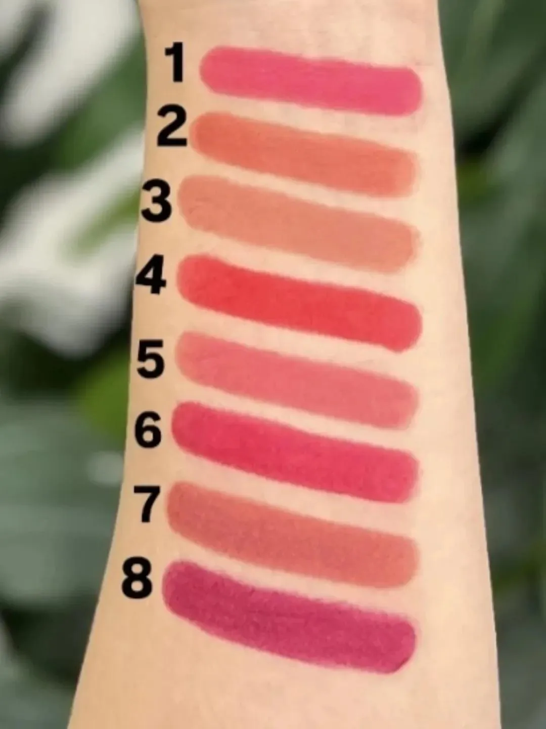 High Pigment Velvet Matte Lipstick Pack of 8 - Image 4
