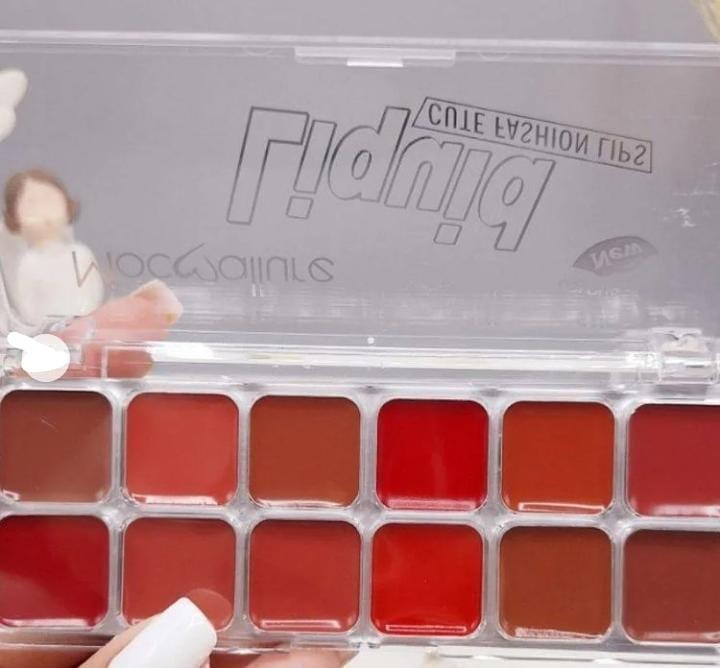 12-in-1 Hydrating Lip Set for Pakistani Women - Image 3