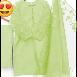 Green Organza Embroidered 3-Piece Suit for Women