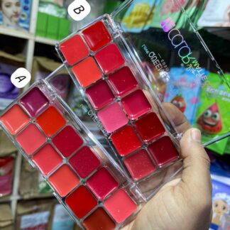 Premium Lip Palette 12 Shades Long Lasting