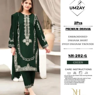 Green Embroidered Dhanak 2Pcs Suit for Women